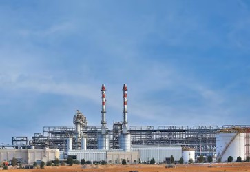 Asab Plant